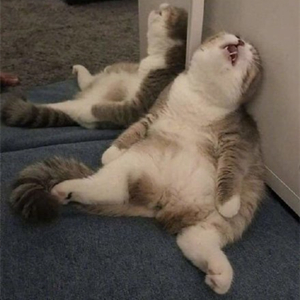 爆笑！遇上日本“靈魂翻譯”，身經(jīng)百戰(zhàn)的國(guó)乒高手都懵了